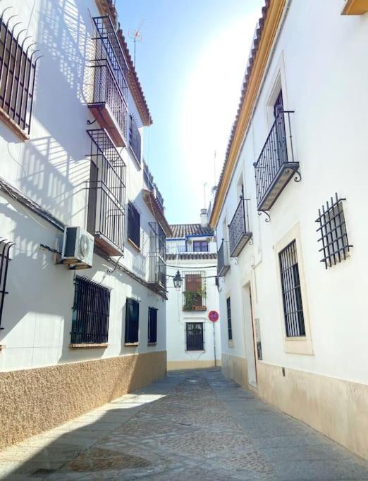 Apartamento Centrico En El Casco Historico De Кордоба Екстериор снимка